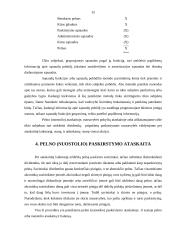 Pelno (nuostolio) ataskaita 15 puslapis