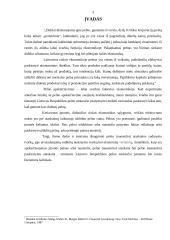 Pelno (nuostolio) ataskaita 3 puslapis