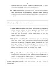 Pelno (nuostolio) ataskaita 9 puslapis