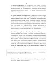 Pelno (nuostolio) ataskaita 10 puslapis