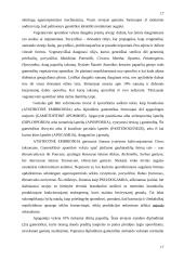 Augalų kryžminimasis 17 puslapis