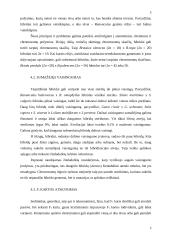 Augalų kryžminimasis 5 puslapis