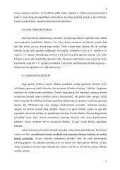 Augalų kryžminimasis 6 puslapis