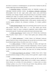 Augalų kryžminimasis 8 puslapis