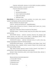 Pelno (nuostolių) ataskaitos sudarymas ir finansinės atskaitomybės parengimas 11 puslapis