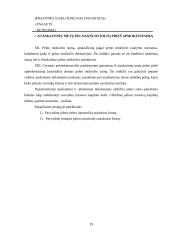 Pelno (nuostolių) ataskaitos sudarymas ir finansinės atskaitomybės parengimas 19 puslapis