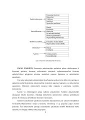 Pelno (nuostolių) ataskaitos sudarymas ir finansinės atskaitomybės parengimas 8 puslapis