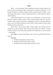 Pensijų draudimas 2 puslapis