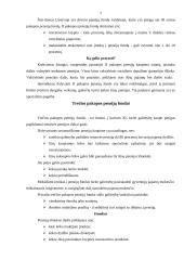 Pensijų draudimas 7 puslapis