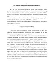 Pensijų draudimas 9 puslapis