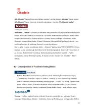 Bankų politika bei veikla Lietuvoje 17 puslapis