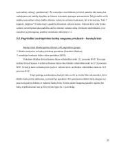 Bankų politika bei veikla Lietuvoje 20 puslapis
