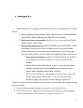 Bankų politika bei veikla Lietuvoje 5 puslapis