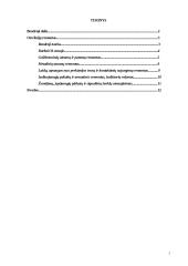 Perdavimo tinklo 110-330kV įtampos elektros oro linijų eksploatavimo reglamentas 2 puslapis