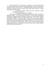 Perdavimo tinklo 110-330kV įtampos elektros oro linijų eksploatavimo reglamentas 12 puslapis