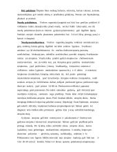 Pesticidai 13 puslapis