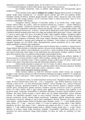 Teorija apie anatomiją 3 puslapis