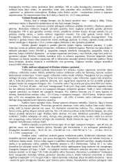 Teorija apie anatomiją 5 puslapis