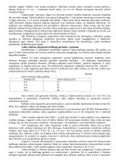 Teorija apie anatomiją 6 puslapis