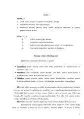 Petunijos 3 puslapis