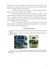 Petunijos 4 puslapis