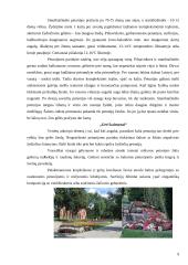 Petunijos 9 puslapis