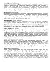 Dendrologijos augalų aprašymai 5 puslapis