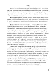 Pieno, mėsos ir augalinės kilmės maisto produktų mineralinės sudėties savitumas 13 puslapis