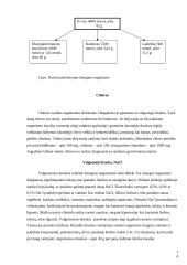 Pieno, mėsos ir augalinės kilmės maisto produktų mineralinės sudėties savitumas 14 puslapis