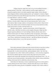 Pieno, mėsos ir augalinės kilmės maisto produktų mineralinės sudėties savitumas 10 puslapis