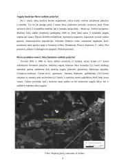 Pievų monitoringas 9 puslapis