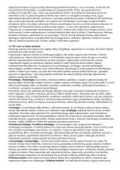 Organizacinė elgsena - teorija 2 puslapis