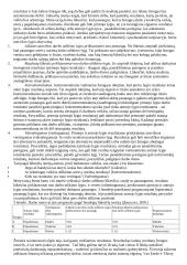 Organizacinė elgsena - teorija 11 puslapis