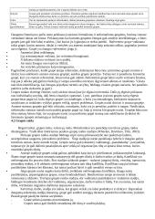 Organizacinė elgsena - teorija 17 puslapis