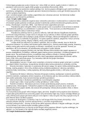 Organizacinė elgsena - teorija 18 puslapis