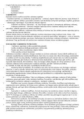 Organizacinė elgsena - teorija 19 puslapis