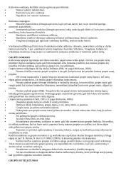 Organizacinė elgsena - teorija 20 puslapis