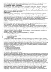 Organizacinė elgsena - teorija 3 puslapis
