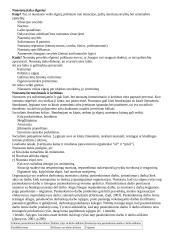 Organizacinė elgsena - teorija 5 puslapis