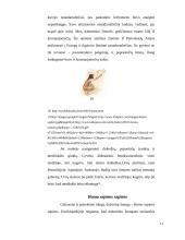 Pirmieji žmonės 11 puslapis