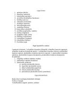 Sporiniai ir sėkliniai augalai 5 puslapis