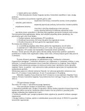 Tarptautinių organizacijų teisė 17 puslapis