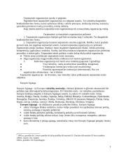 Tarptautinių organizacijų teisė 3 puslapis