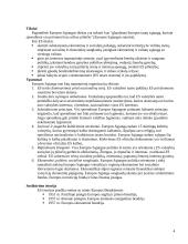 Tarptautinių organizacijų teisė 4 puslapis