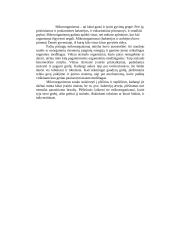 Plėšrūs mikroorganizmai 2 puslapis