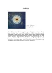 Plėšrūs mikroorganizmai 13 puslapis