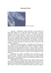 Plėšrūs mikroorganizmai 14 puslapis