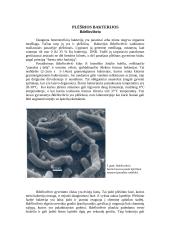 Plėšrūs mikroorganizmai 3 puslapis