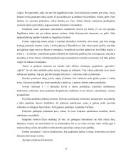 Pobūvių rūšys 11 puslapis