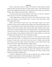 Pobūvių rūšys 12 puslapis